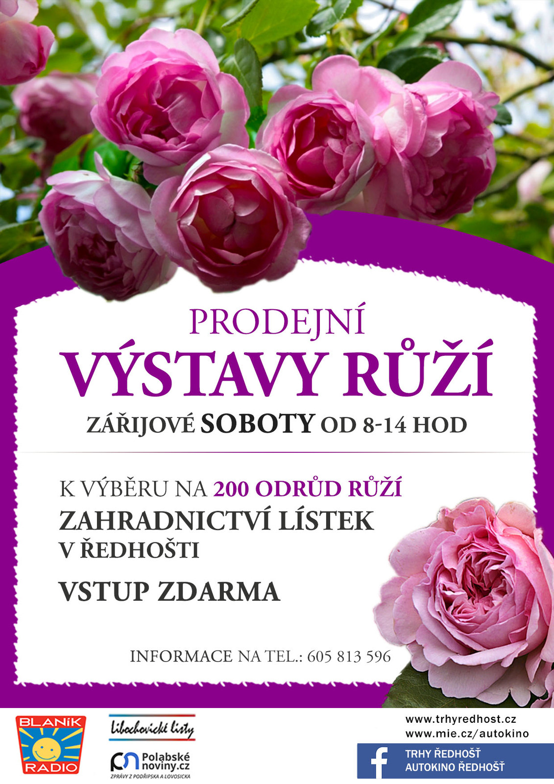 vystava-ruzi.jpg