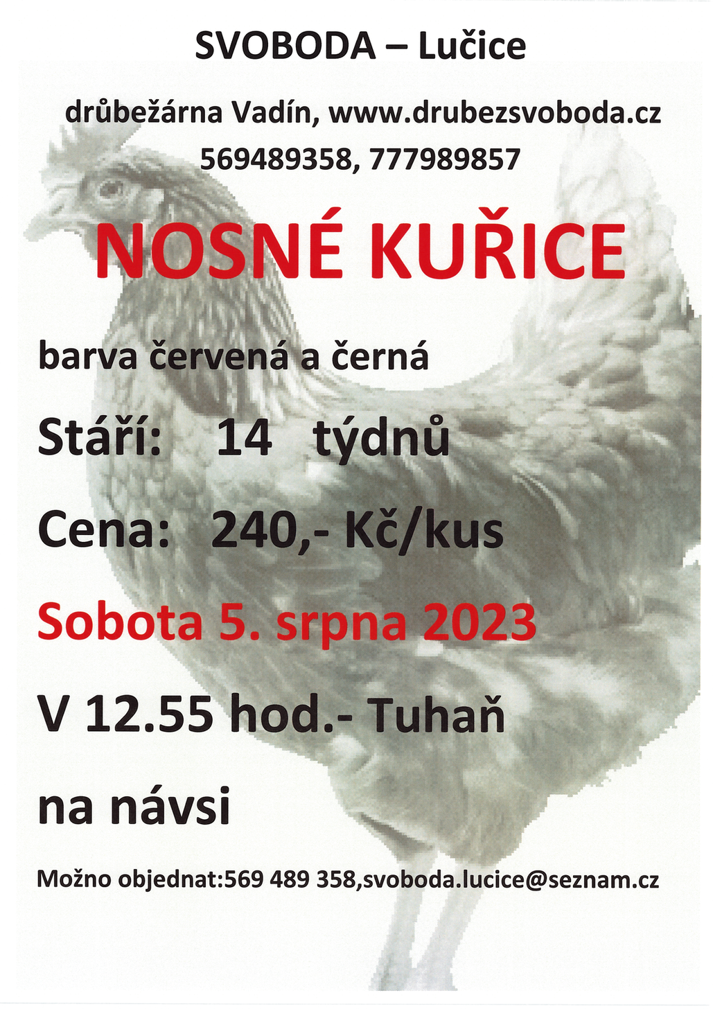 Plakát - prodej kuřic 5.8.2023.tif